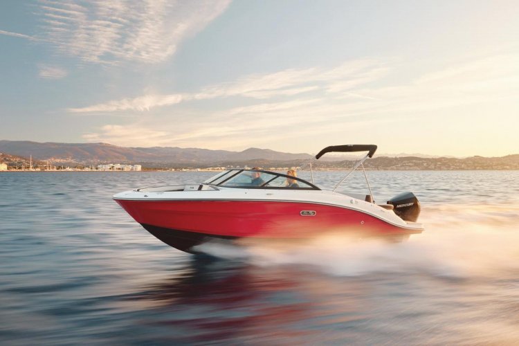 Sea Ray SPX 210 Outboard