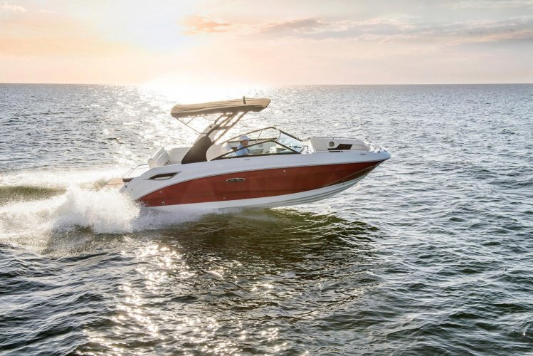 Sea Ray SDX 250