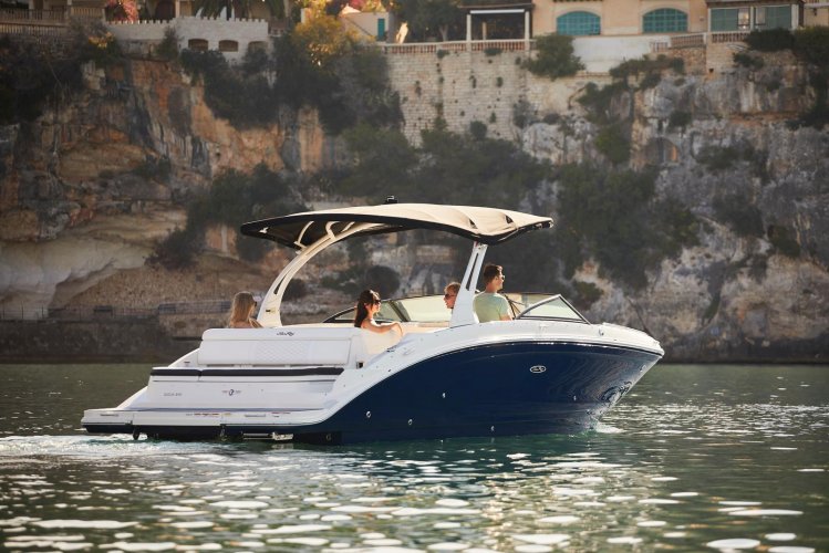 Sea Ray SDX 270