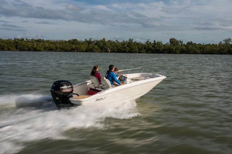 Boston Whaler 160 Super Sport