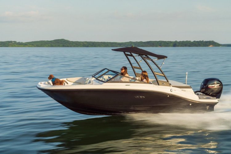 Sea Ray SPX 190 Outboard