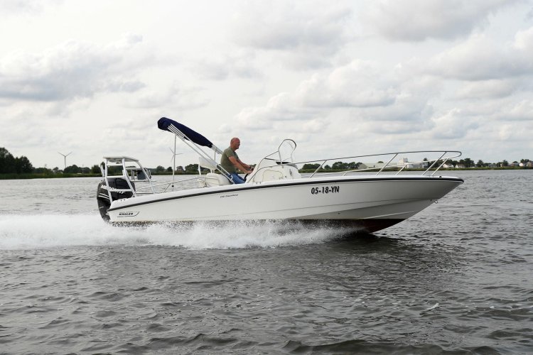 Boston Whaler 230 Dauntless